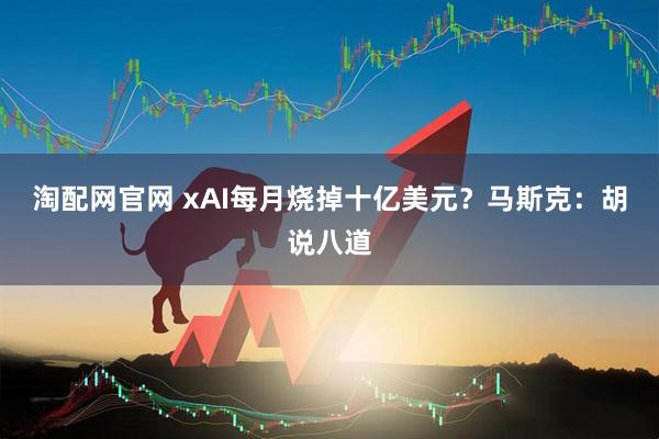 淘配网官网 xAI每月烧掉十亿美元？马斯克：胡说八道